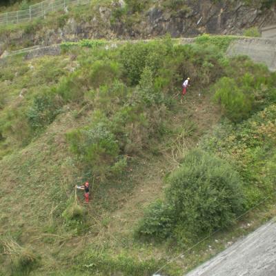 Débroussaillage et purge de falaise